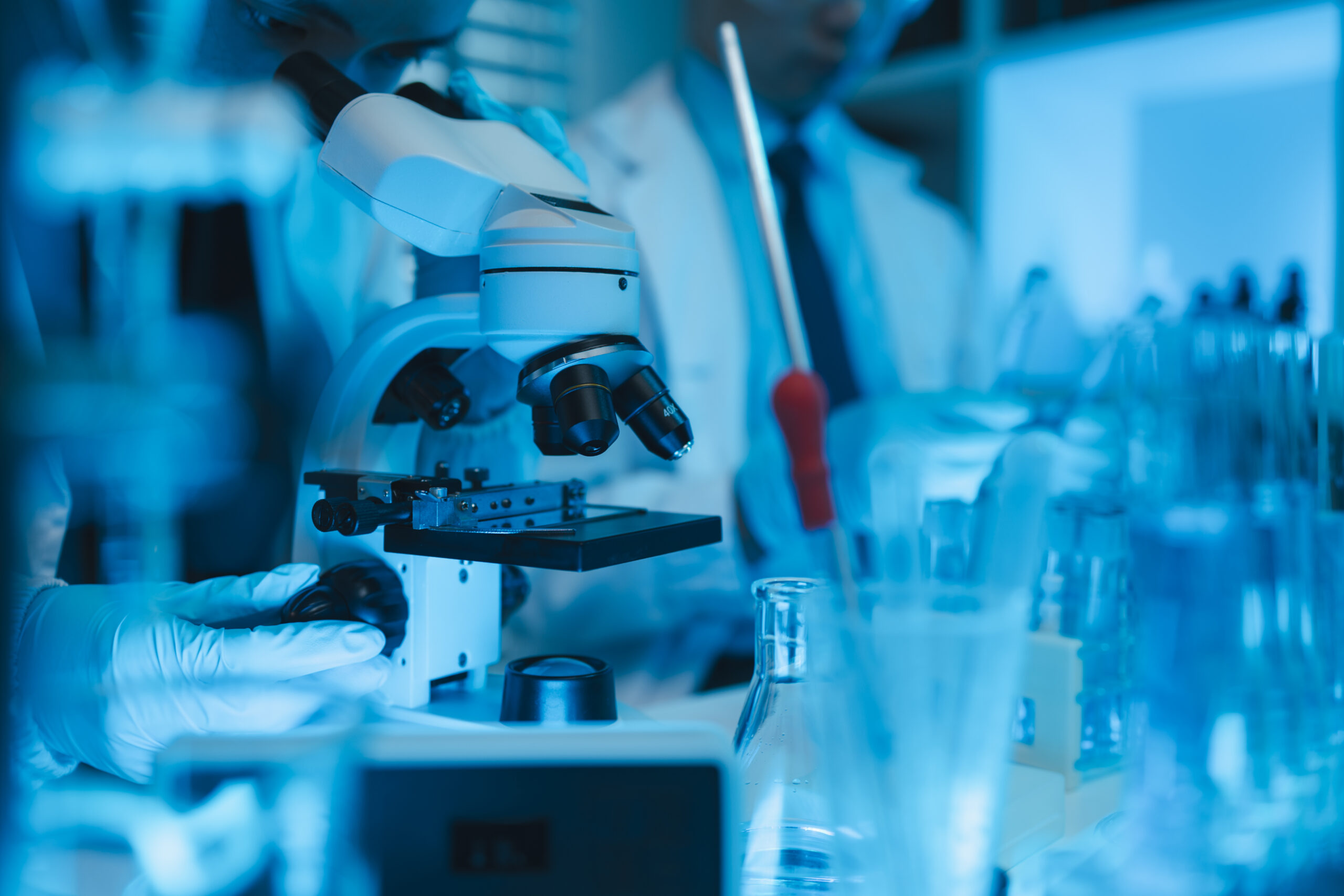 Advancing Disease Modeling Through iPSC-Derived Organoid Platforms