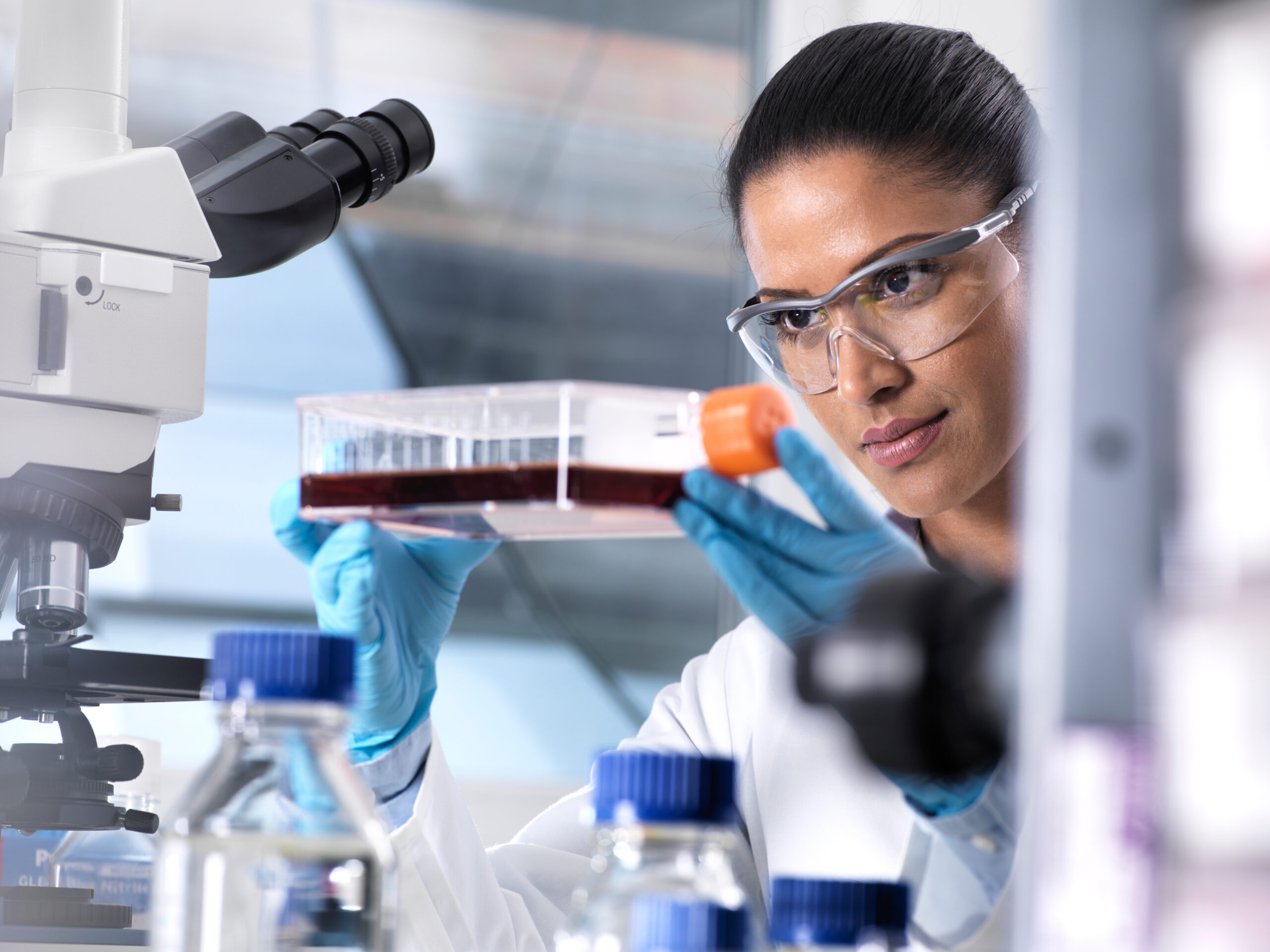 Enhancing CRO Efficiency with Predictive Organoid-Based Testing